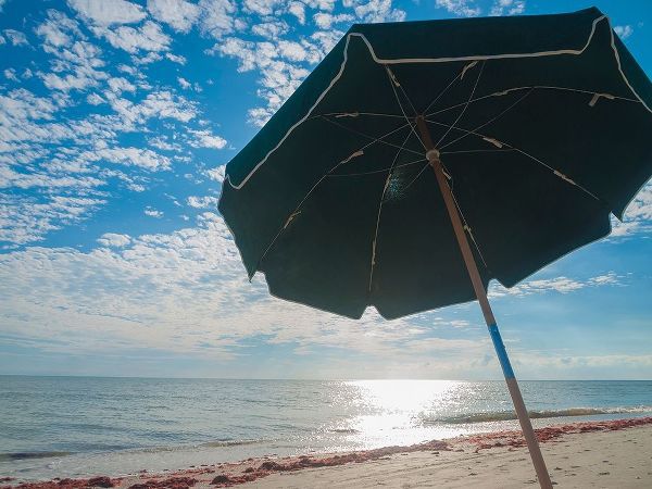 Beach Umbrella-Sanibel Island-Florida-USA
